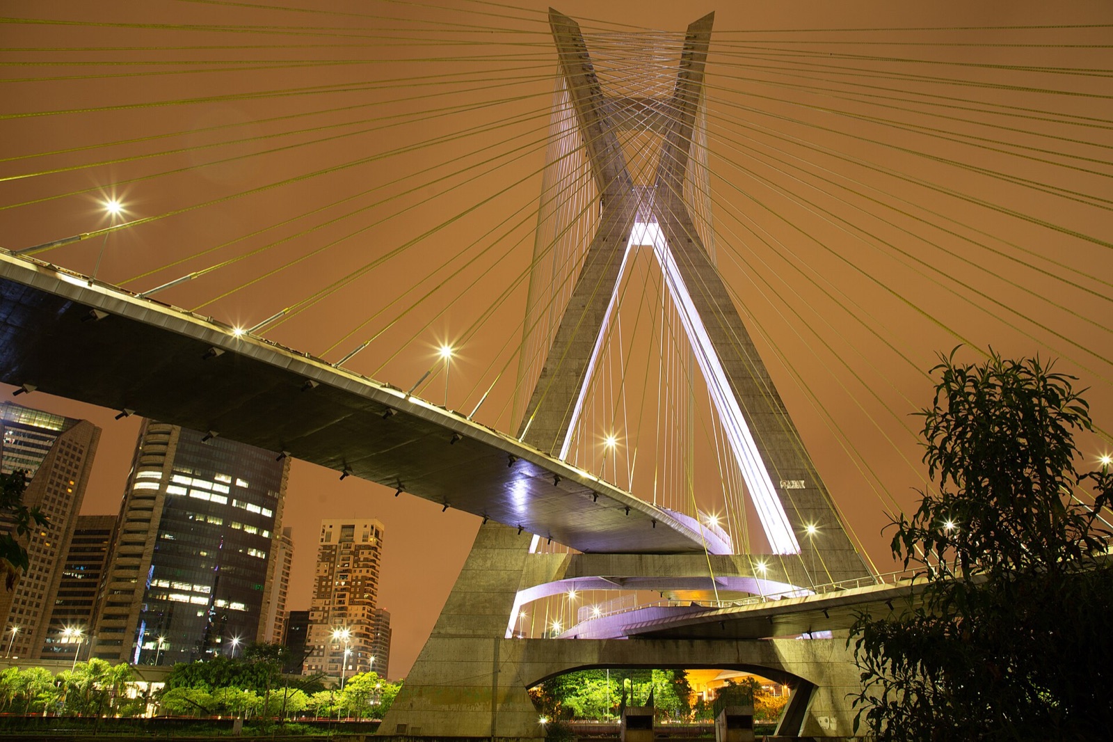 从下方拍摄的 Ponte Estaiada Octávio Frias de Oliveira 夜景，突出桥梁缆索与结构